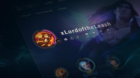 Construire le client : profil et collection