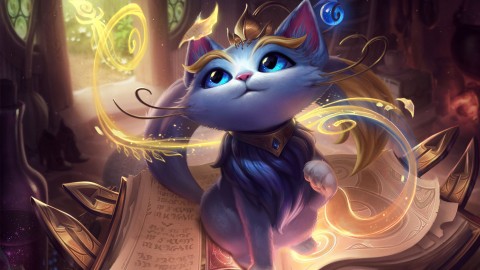 01_Ask_Riot_Banner_Yuumi